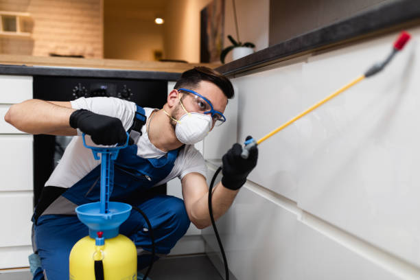 Best Affordable Pest Control Services  in Kissimmee, FL