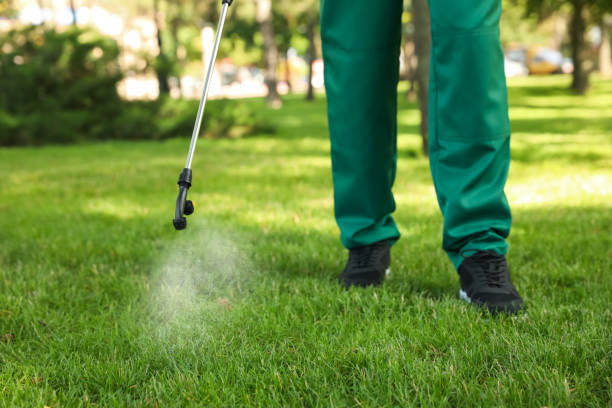 Best Pest Prevention Services  in Kissimmee, FL